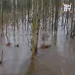 Иллюстрация 2