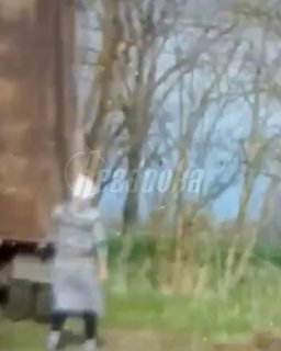 В кубанское село свозят мусор с кладбищ для сжигания у жилых домов