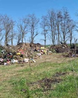 Иллюстрация 1