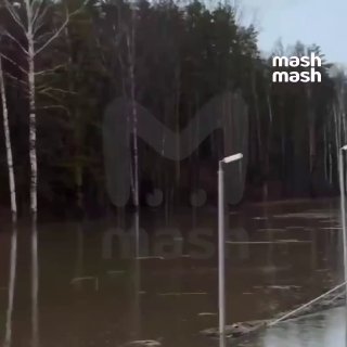 Иллюстрация 1