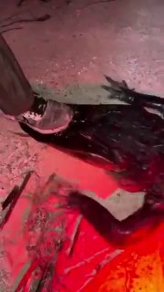 «Только жене не говорите»: первые слова мужчины после нападения аллигатора