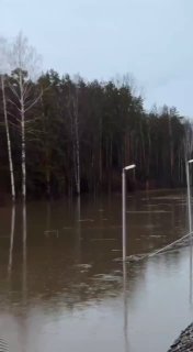 Иллюстрация 2