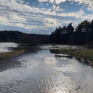 Иллюстрация 5