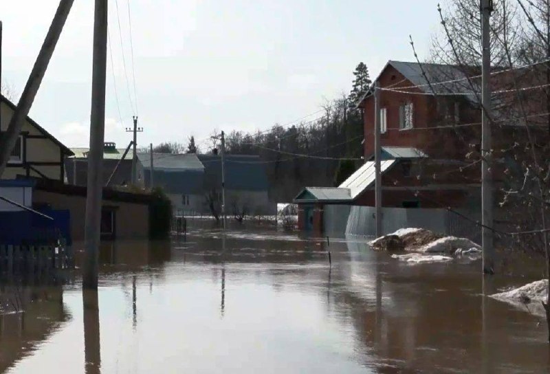 Иллюстрация 8