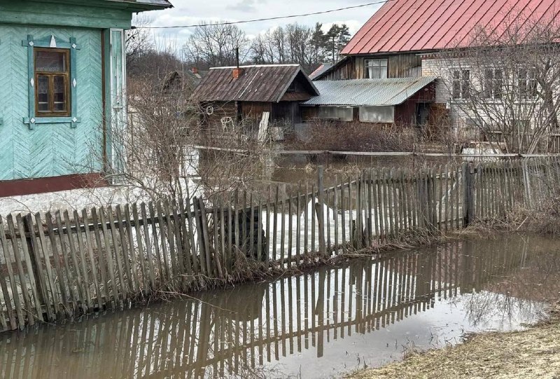 Иллюстрация 9