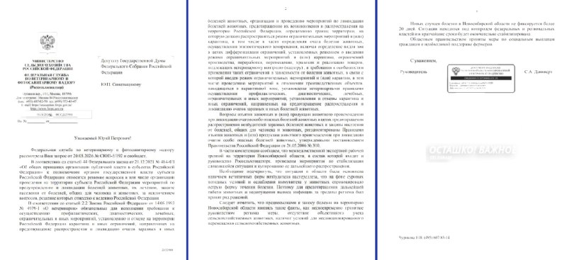 Иллюстрация 2