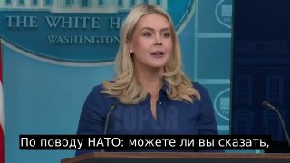 Трамп обсудит с генсеком НАТО выход США из альянса