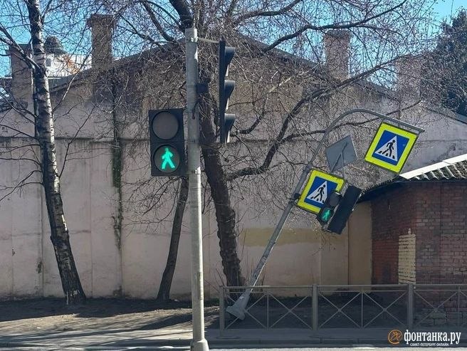 Ветер повалил деревья в Петербурге, повреждено 11 машин