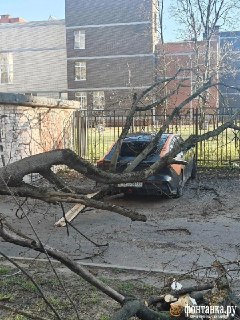 Иллюстрация 3