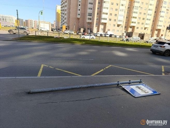 Иллюстрация 4