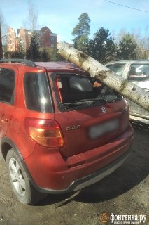 Иллюстрация 6