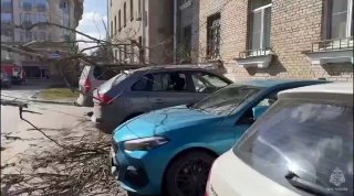 Иллюстрация 7