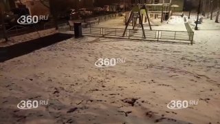 Циклон с мокрым снегом и ветром обрушился на Москву и область