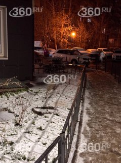 Иллюстрация 2