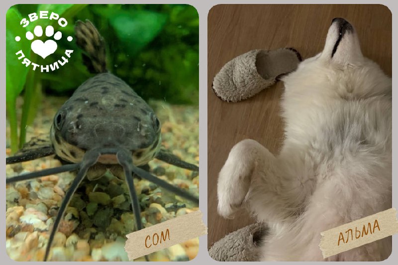 Иллюстрация 2