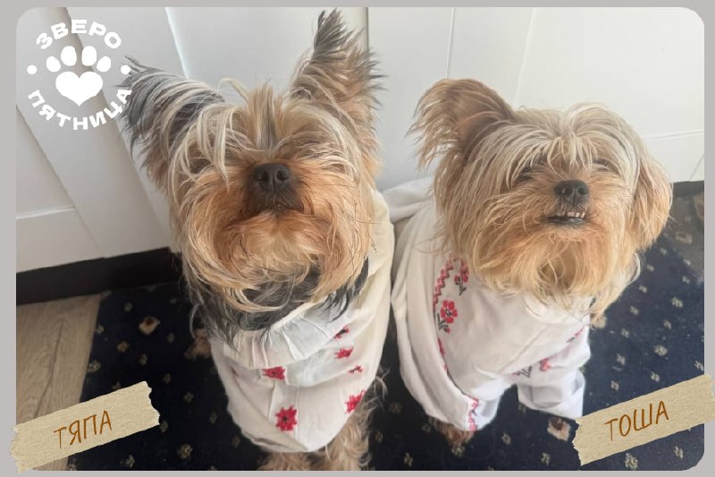 Иллюстрация 3