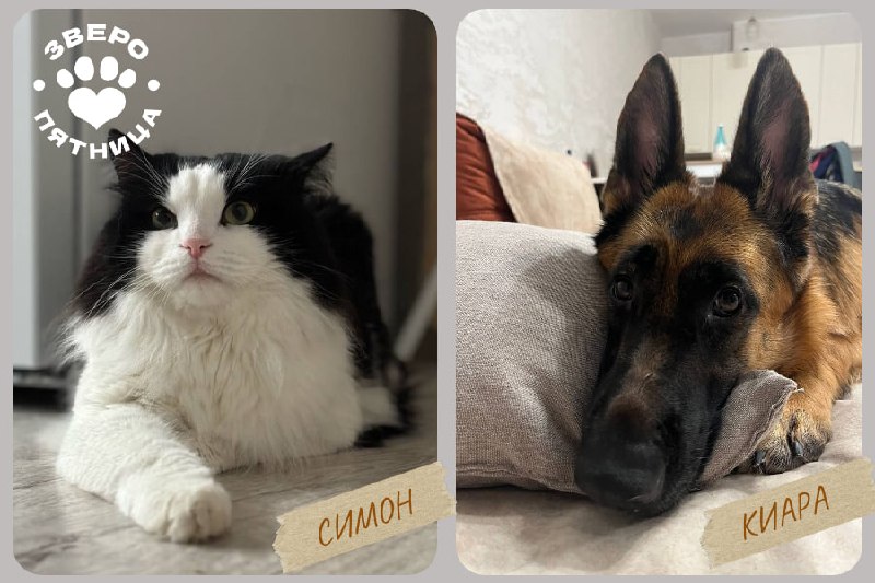 Иллюстрация 4