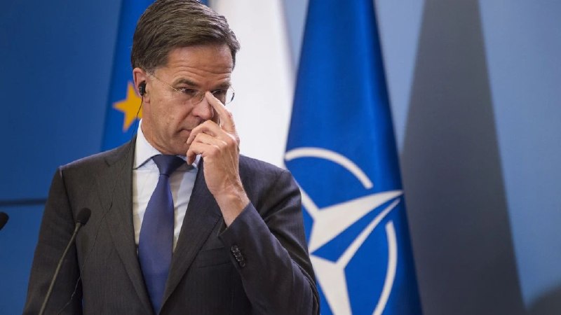 Рютте: о вступлении Украины в НАТО в ближайшее время договоренностей не будет