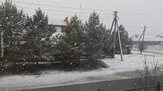 Иллюстрация 1