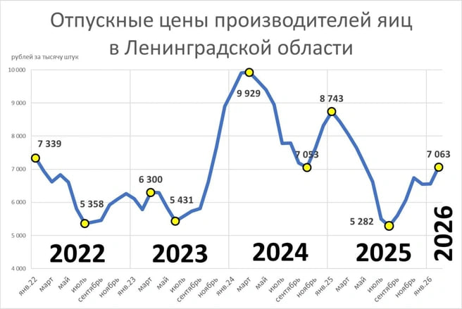 Птицефабрики Ленобласти теряют прибыль из-за обвала цен на яйца