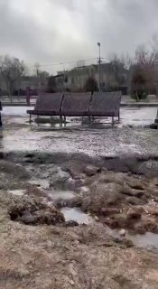 Фекальная река образовалась в Подмосковье после аварии канализации