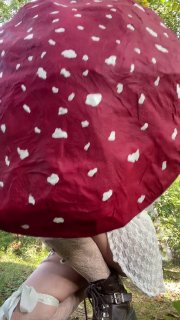 Иллюстрация 6