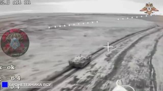 Операторы FPV-дронов поразили БТР М113 в районе Новогригорьевки
