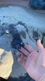 Загрязнённый берег Финского залива в Ленобласти: пятна остались, контроль продолжится