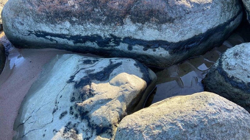 Иллюстрация 3