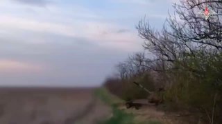 Артиллерия РФ уничтожает переправы и позиции ВСУ на Запорожье и Харькове