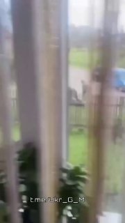 Иллюстрация 3