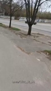 Иллюстрация 4