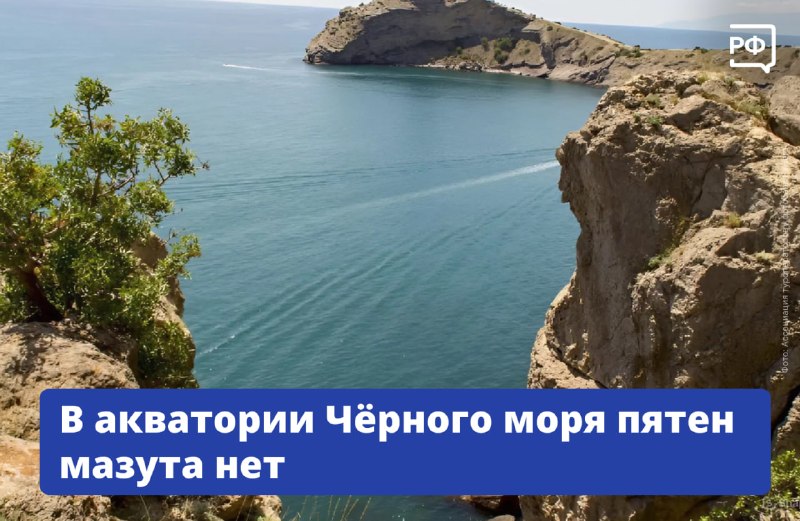 Власти отчитались о ходе очистки побережья от разлива мазута в Керченском проливе