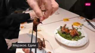 Традиционная медицина в Китае: от чего помогают скорпионы и олений пенис?