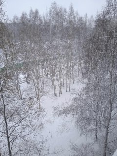 Иллюстрация 3