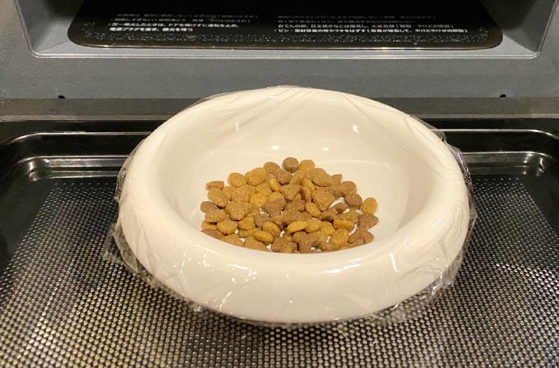 Японский тренд: подогрев кошачьего корма для лучшего аппетита