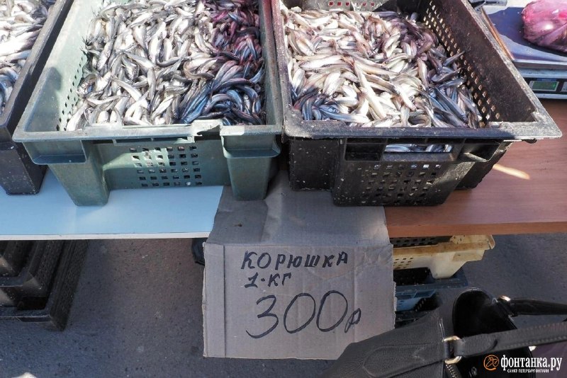 Иллюстрация 3