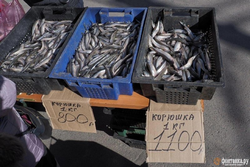 Иллюстрация 1