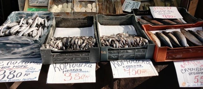 Иллюстрация 5