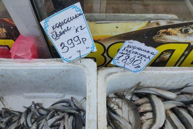 Иллюстрация 6