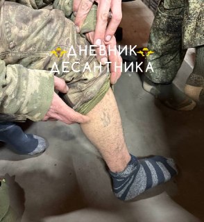 Дневник Десантника: успехи на Купянском направлении и захват пленных