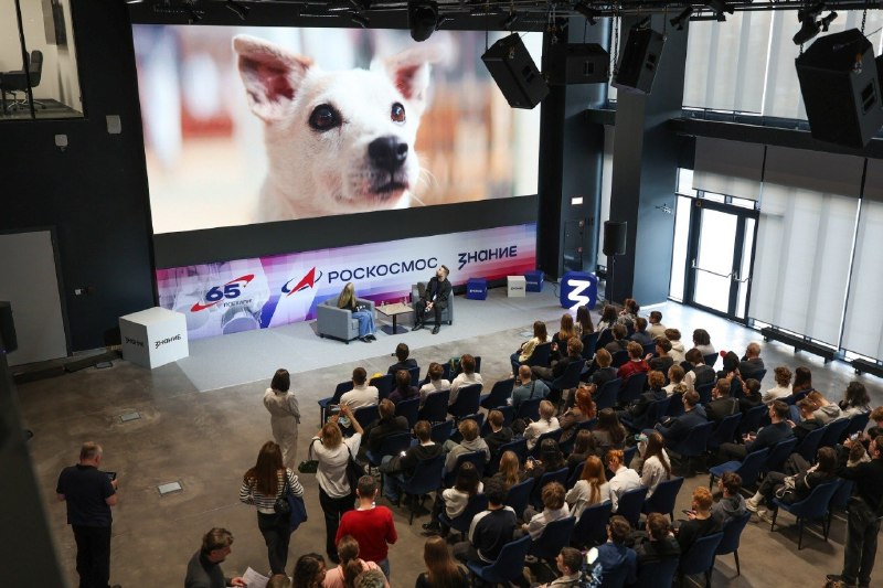 Иллюстрация 2