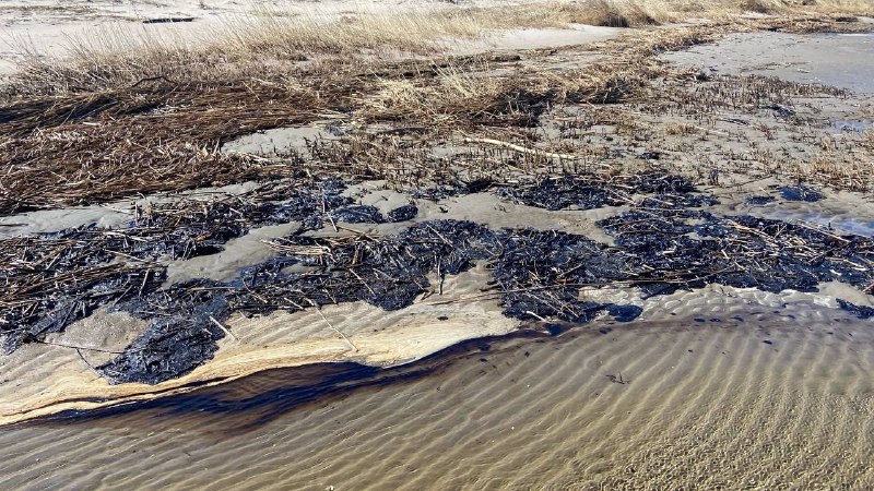 Иллюстрация 2