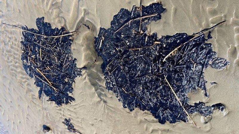 Иллюстрация 3