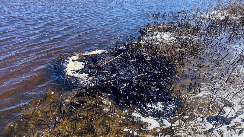 Иллюстрация 4