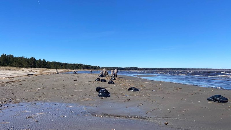 Иллюстрация 5