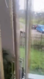 Сатира на менеджеров в контексте военной тематики