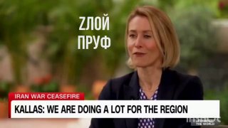 Zлой Пруф: Эстонская обезьянка Каллас отказалась от операции в Ормузском проливе