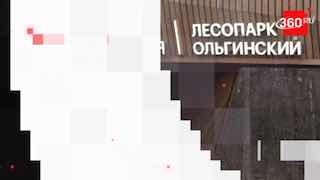 В Балашихе благоустроили Ольгинский лесопарк