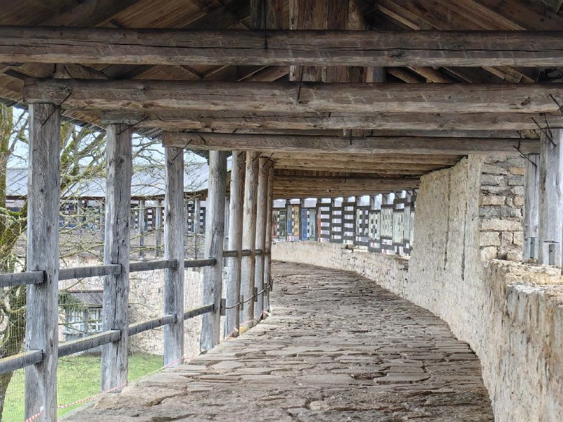 Иллюстрация 4